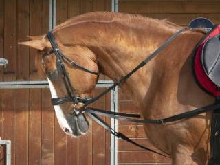 Wypinacze trójkątne full