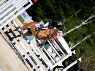 13 letni wałach-koń profesor!