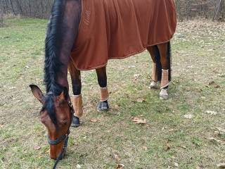 Derka polarowa Mattes