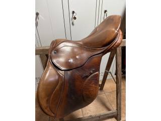 Stubben Genesis 17”