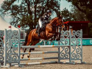 WSPŁANIAŁA KLACZ WIELKOPOLSKA DO SKOKÓW