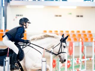 16 letnia klacz do hodowli i lekkich jazd