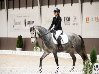 5-letnia startująca klacz ujeżdżenie/skoki po Levus/Etoulon VDL z matki po Malibu