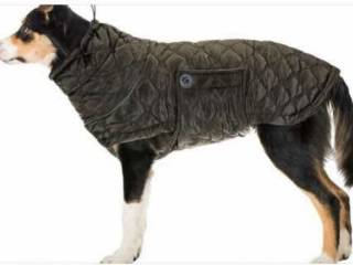 Kurtka derka dla psa 200 g, r. XS (40 cm), zielona, jak nowa (użyta dwa razy)