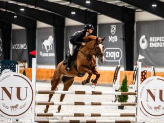 Piękna kasztanowata klacz do sportu