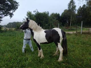 Jazdy konne we własnym zakresie