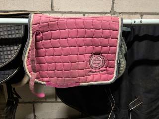 Czaprak shetty schockemohle