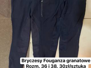 Bryczesy Equiline, Horze, Fouganza