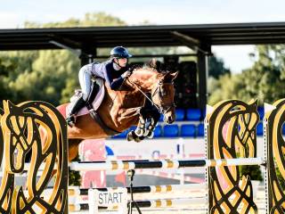 Klacz profesor - idealna dla dziecka chodząca 130