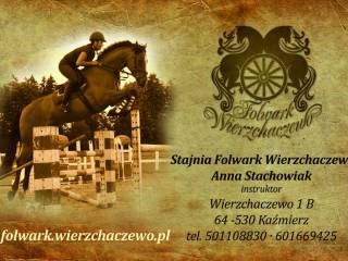 Zajeżdżanie, trening, korekta koni