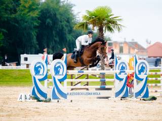 Sprzedam klacz 8lat do sportu