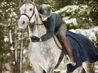 Sprzedam Siwą Klacz do ujeżdżenia