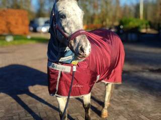 derka/plandeka Bucas Atlantic Exclusive 0g