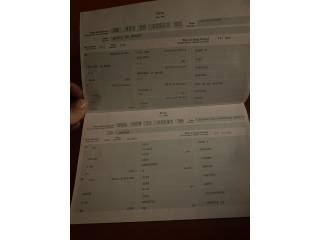 Klacz po Bajou du Rouet do hodowli - możliwość inseminacji