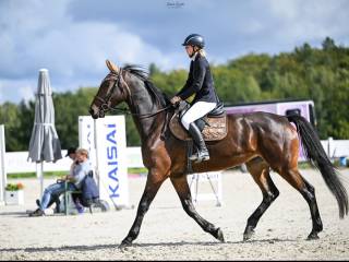 Przyszłościowa klacz na sprzedaż