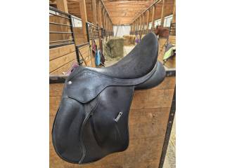 WINTEC 2000 HIGH WITHER