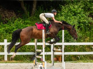Duża, chwytająca za oko klacz