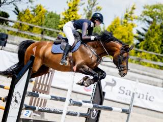Ogier ze wspaniałym charakterem i potencjałem skokowym