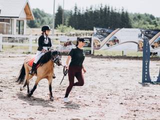 Przepiękny kuc do jazd/bryczki