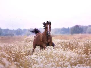 Wolny boks 30 km od Warszawy