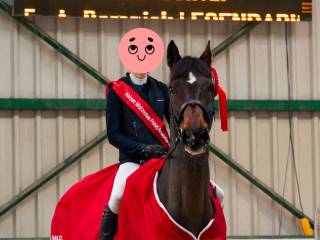 Współdzierżawa | Doświadczony i skuteczny w konkursach