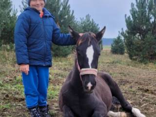 kara klaczka po DUC 123 Z