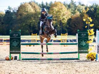 10 letnia klacz po Maaiku