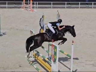 Współdzierżawa wałaszka - SP