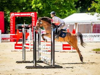 Kuc D grupa. Profesor