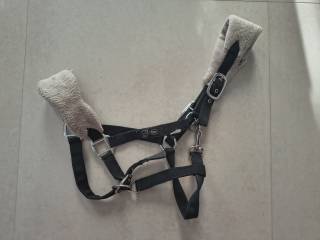 Kantar York z polarem full