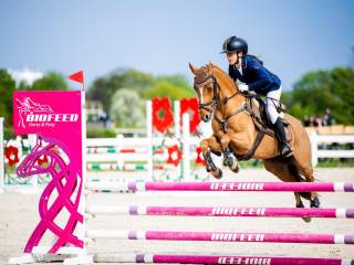 Mistrz Polski kucy , kuc do wygrywania