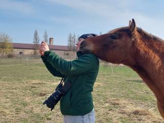 Szamanka Jagi (Gurgul) klaczka hc od hodowcy