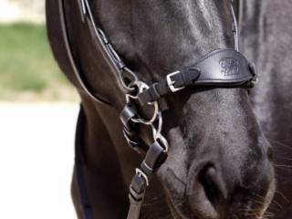 Nachrapnik anatomiczny do hackamore BAREFOOT