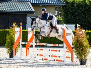 Sportowa klacz – utalentowana i niezawodna