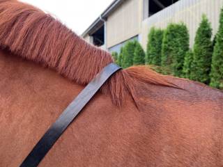 Skórzane cordeo z chromowaną, lekką obręczą | Silver Star