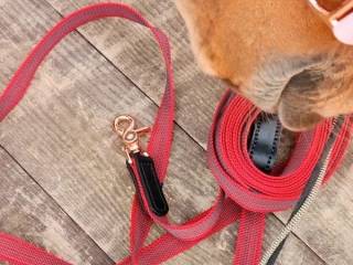 Lonża gumowana 8 m w kolorze burgund z wstawkami ze skóry i karabińczykiem różowe złoto