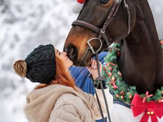 Super koń do skoków! PILNE