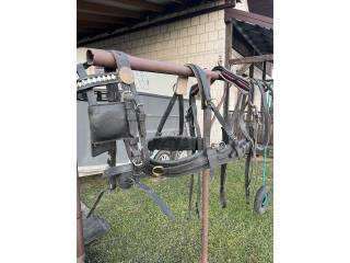 Uprząż szorowa szory cob półszorek puszorek full