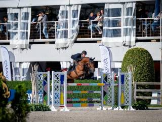 Klacz Zangersheide : Stakkato x Darco