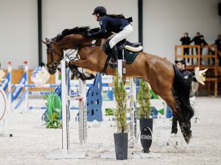 Super profesor dla dziecka lub amatora