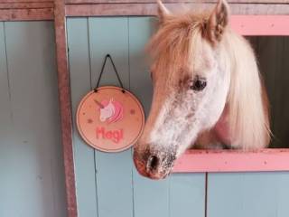 Jazdy konne dla najmłodszych