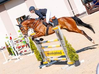 Trening koni i par koń + jeździec - ostatnie wolne miejsca
