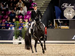 Spektakularny koń-profesor ujeżdżeniowy