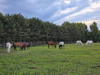 Wycieczki szkolne i przedszkolne