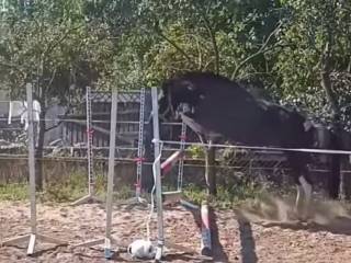 Kucka D grupa rekreacja/sport