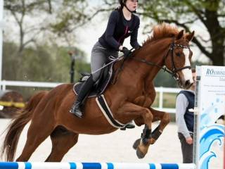 Wałach dla każdego