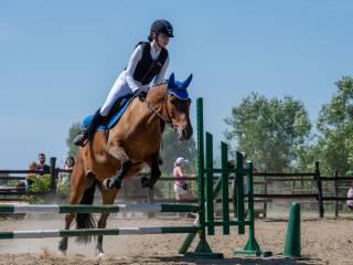 Wałach huculski 11 lat - wszechstronny, 145cm