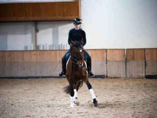 Klacz Hippica Andiamo x Earl! - Spory potencjał na SPORT