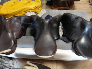 Prestige Elastic Professional 17