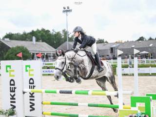 Pianisima najpiękniejszy koń na sprzedaż !